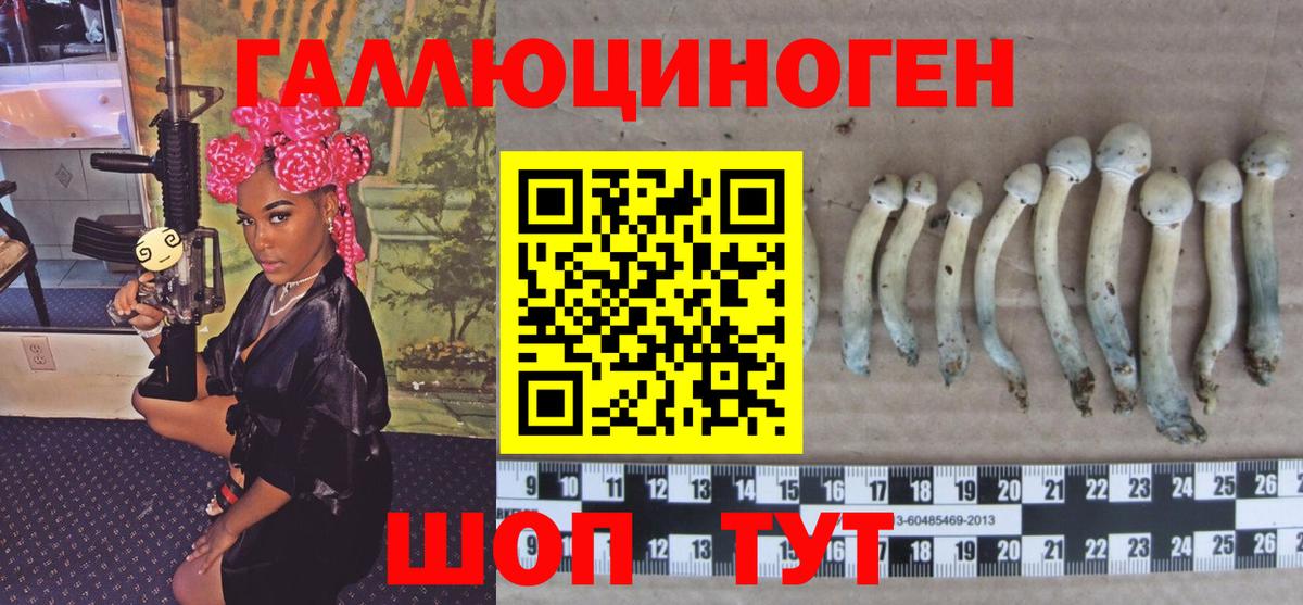 Псилоцибиновые грибы Magic Shrooms  Галлюциногенные грибы Cubensis  Уссурийск  Вход с VPN 