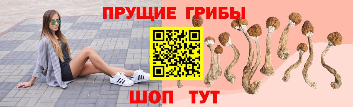 Псилоцибиновые грибы MAGIC MUSHROOMS Уссурийск